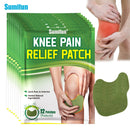 Adesivo Muscular e Articulação: 🌿 Alívio da Dor no Joelho