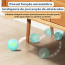 Bolinha Inteligente e Interativa para o seu Pet